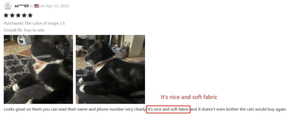 Kitten Collar with bell