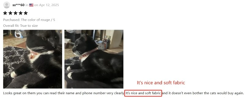 Kitten Collar with bell Kitten Collar with bell