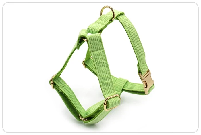 Light Green Velvet Dog Collar Set