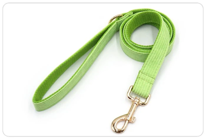 the light green dog leash set the light green dog leash set