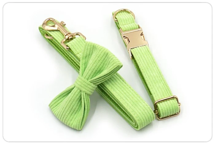 the light green dog collar and leash set the light green dog collar and leash set