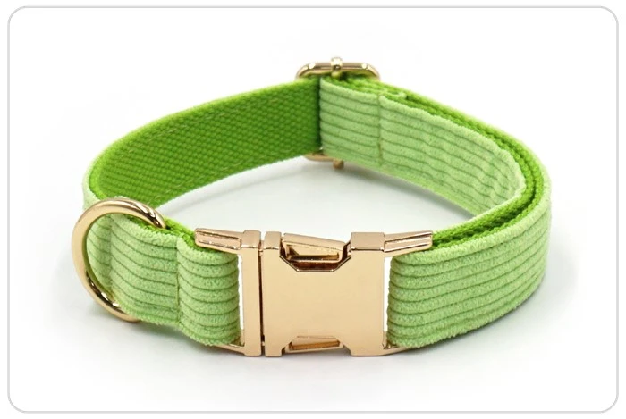 the light green  velvet dog collar