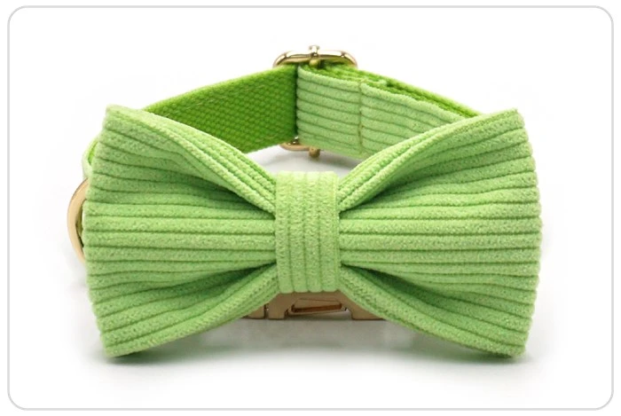 the light green dog collar and bowtie the light green dog collar and bowtie