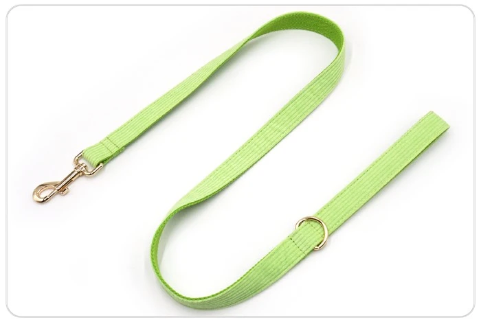 the light green dog leash