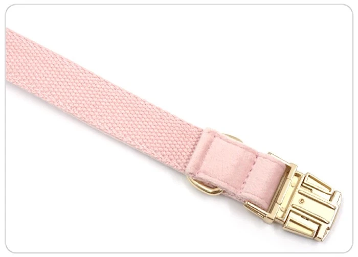 colorful velvet dog harness and leash set
