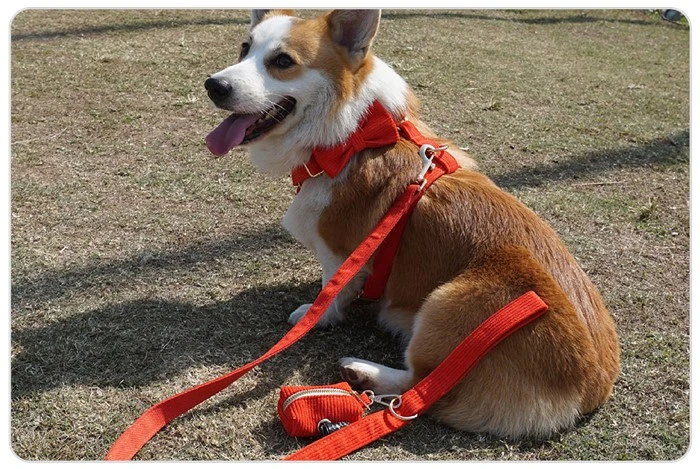 colorful corduroy dog leash colorful corduroy dog leash