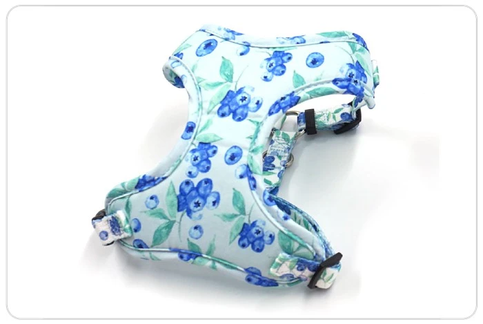 buleberry pattern dog harness