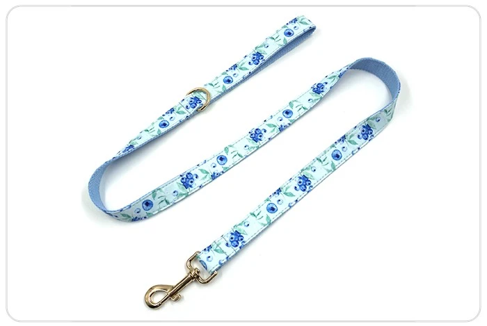 cute buleberry pattern dog leash