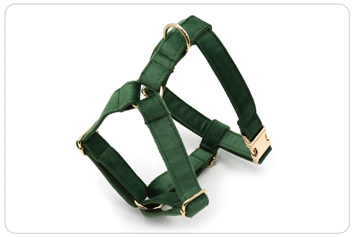 green velvet dog collar green velvet dog collar