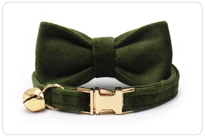 gold metal buckle military green velvet cat collar and bow gold metal buckle military green velvet cat collar and bow