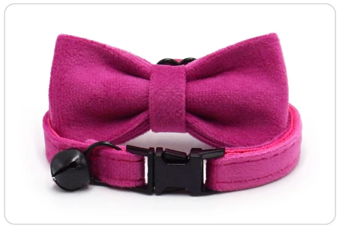 metal buckle cat harness and leashes
