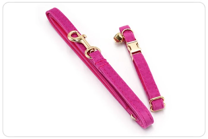 gold buckle cat collar and leash gold buckle cat collar and leash