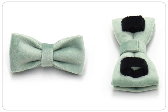 custom color kitten collar and bowtie