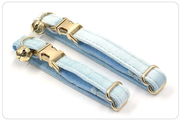 gold buckle light blue velvet cat collar set