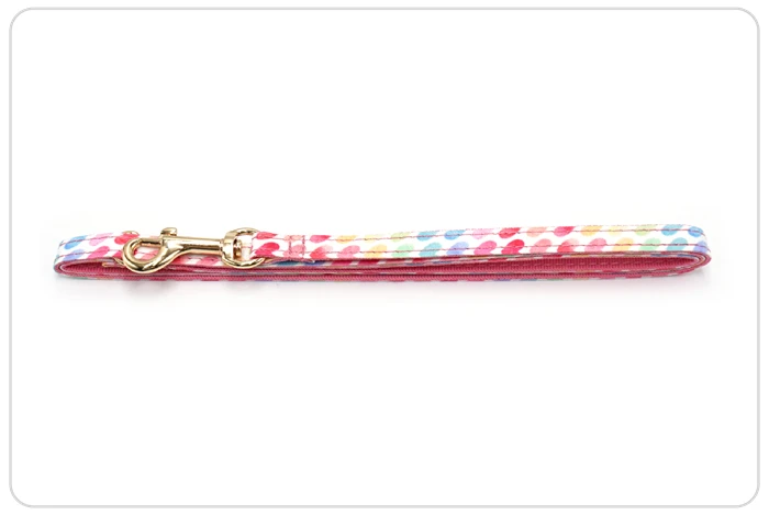 custom pattrern kitten collar and lead