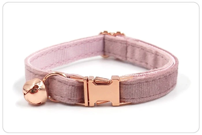 rose metal buckle velvet cat collar