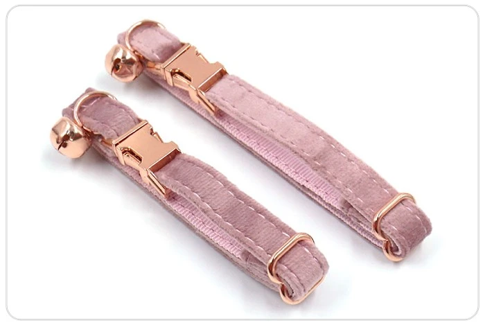 kitten safety collar