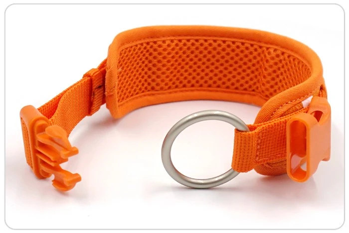 dog collars and leash set dog collars and leash set