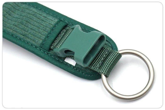 dog collars and leash