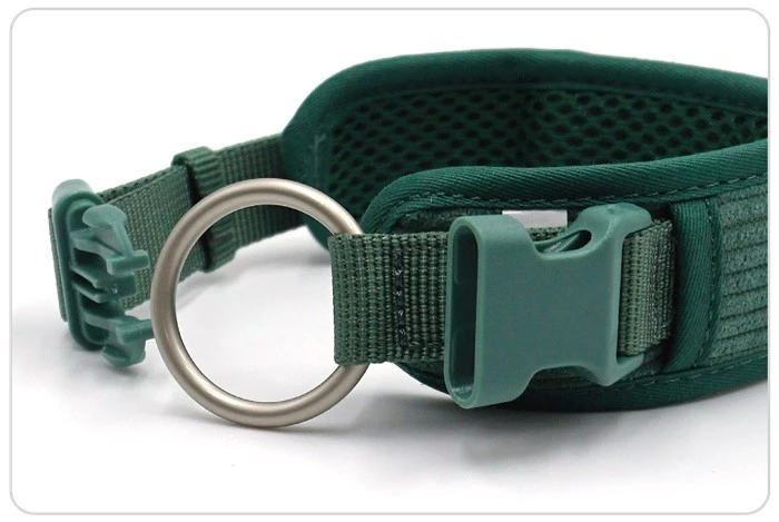 new designer colors padded dog collar luxury new designer colors padded dog collar luxury