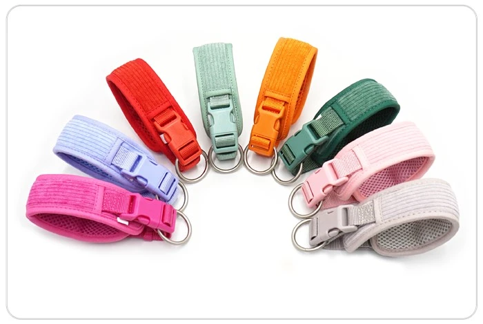 luxury dog collar