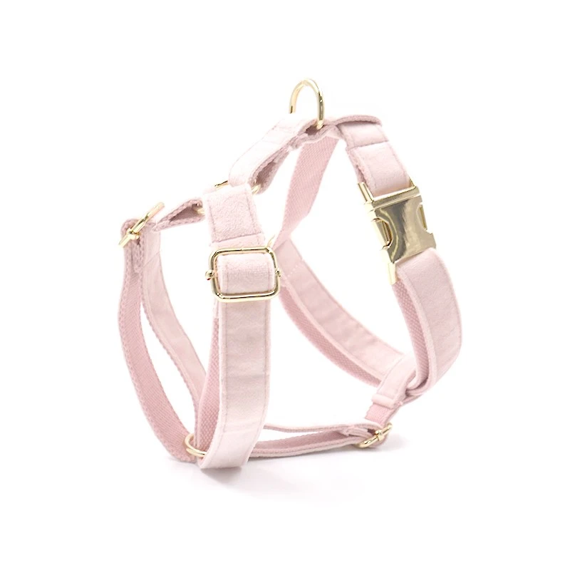 product-800-800