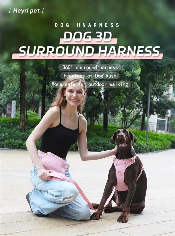 Unique Dog Collars And Leashes